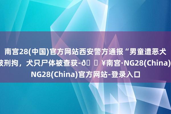 南宫28(中国)官方网站西安警方通报“男童遭恶犬咬伤”：两东谈主被刑拘，犬只尸体被查获-🔥南宫·NG28(China)官方网站-登录入口