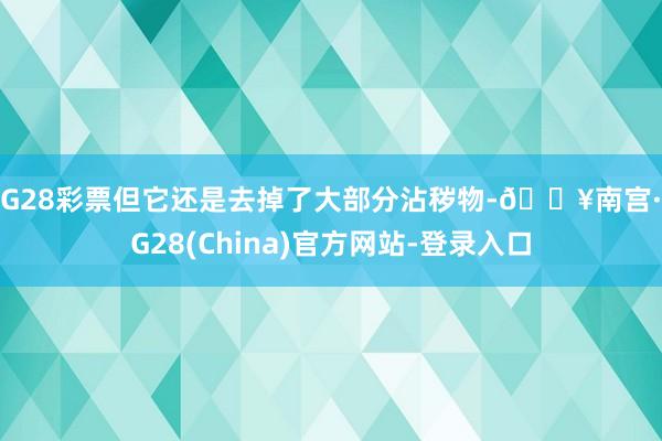 NG28彩票但它还是去掉了大部分沾秽物-🔥南宫·NG28(China)官方网站-登录入口