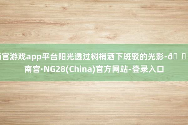 南宫游戏app平台阳光透过树梢洒下斑驳的光影-🔥南宫·NG28(China)官方网站-登录入口