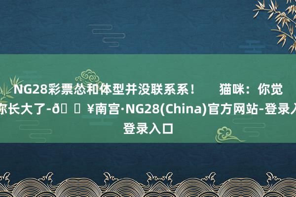 NG28彩票怂和体型并没联系系! 猫咪:你觉得你长大了-🔥南宫·NG28(China)官方网