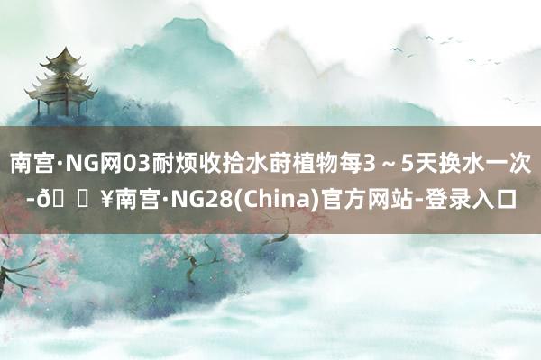 南宫·NG网03耐烦收拾水莳植物每3～5天换水一次-🔥南宫·NG28(China)官方网站-登录入口