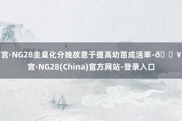 南宫·NG28圭臬化分娩故意于提高幼苗成活率-🔥南宫·NG28(China)官方网站-登录入口